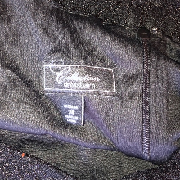 Dressbarn Flutter Sleeve Shift Dress - Picture 4 of 5